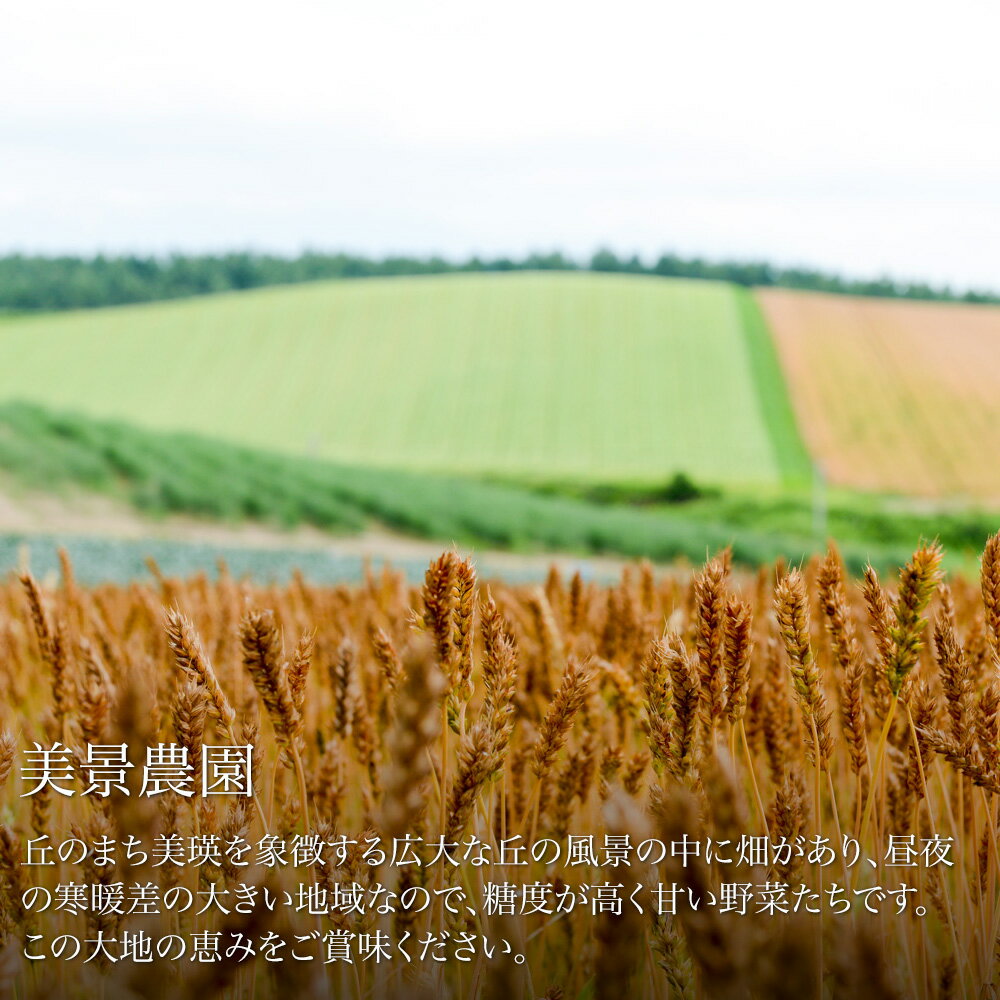 【ふるさと納税】≪令和8年産予約受付！≫美瑛 野菜 玉ねぎ じゃがいも かぼちゃ5kg 4kg セット 詰め合わせ 送料無料 野菜 北海道 北海道美瑛北海道美瑛町 美瑛町 美瑛 北海道産 2個 美景農園 [016-89] - 画像2