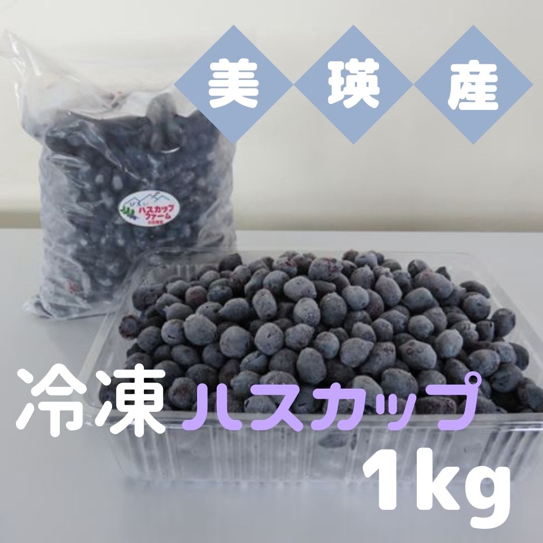 美瑛産 冷凍 ハスカップ 1kg　美瑛 美瑛町 北海道美瑛 北海道美瑛町 北海道産　美瑛産　びえいハスカップファーム　冷凍フルーツ 果物 くだものお取り寄せグルメ 国産 食べ物 たべもの 食品 ご当地　[019-63]