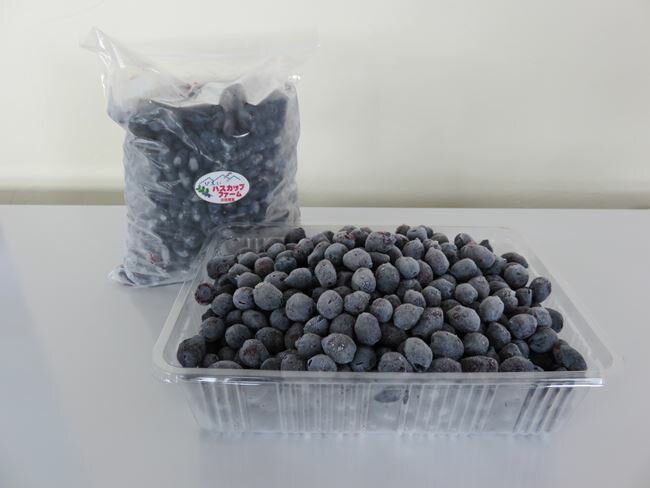 【ふるさと納税】美瑛産 冷凍 ハスカップ 1kg　美瑛 美瑛町 北海道美瑛 北海道美瑛町 北海道産　美瑛産　びえいハスカップファーム　冷凍フルーツ 果物 くだものお取り寄せグルメ 国産 食べ物 たべもの 食品 ご当地　[019-63] サムネイル2