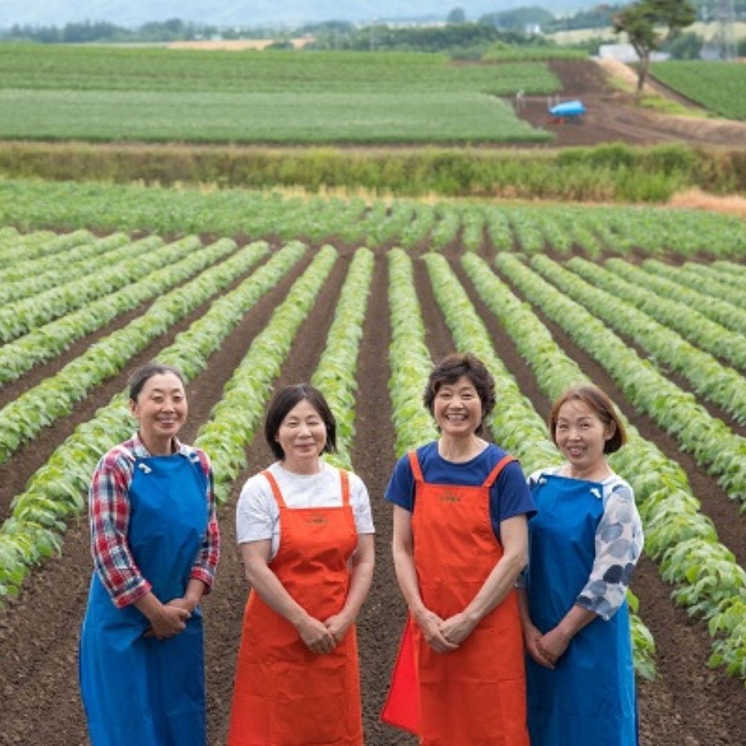 【ふるさと納税】豆ごころ3パック　美瑛　美瑛町　北海道美瑛　北海道美瑛町　北海道産　美瑛産　大豆　金時豆　虎豆　手亡豆　黒大豆　青大豆　パッチワークの丘　丘の恵みびえい　[008-23] - 画像3