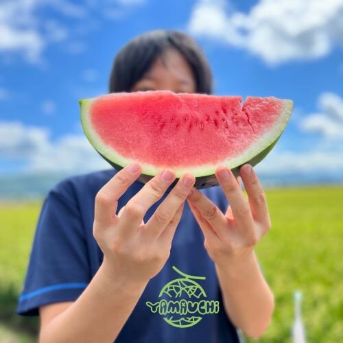 【ふるさと納税】【2026年発送】種なしスイカ　1玉　（6kg～） サムネイル2
