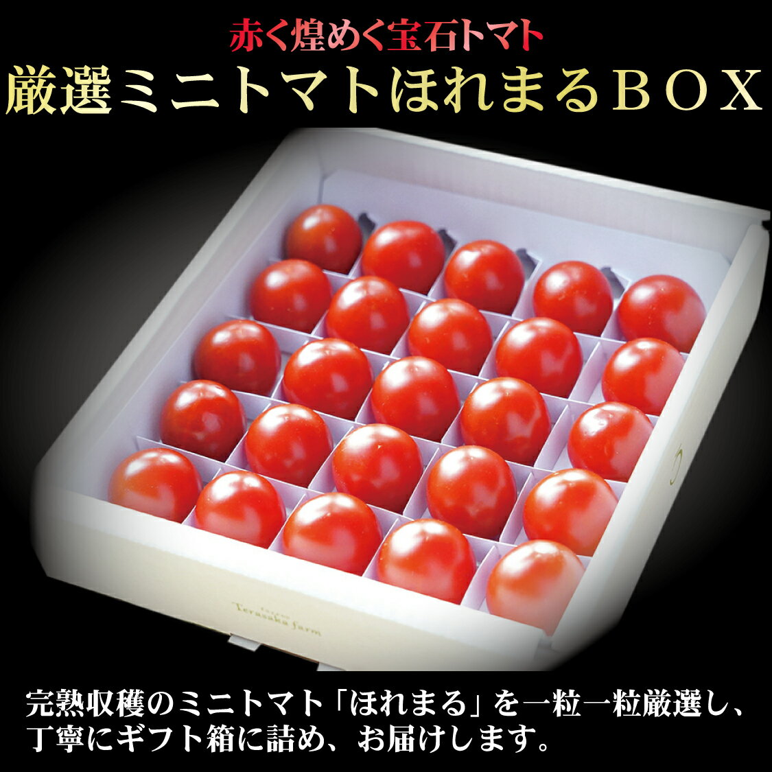 【2026年発送】【中富良野町】厳選ミニトマトほれまるBOX