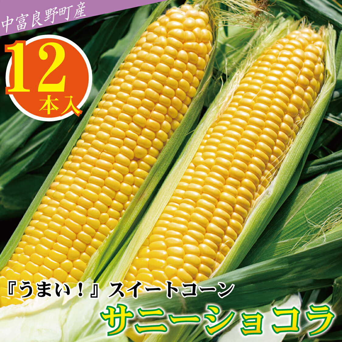 【中富良野町　寺坂農園】とうもろこし『サニーショコラ』（12本入り）