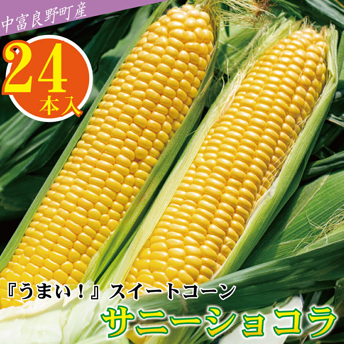 【中富良野町　寺坂農園】とうもろこし『サニーショコラ』（24本入り）