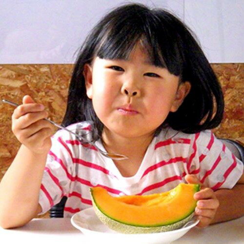 【ふるさと納税】【2026年発送】【中富良野町】寺坂メロン　4玉入り（赤肉特大） サムネイル3