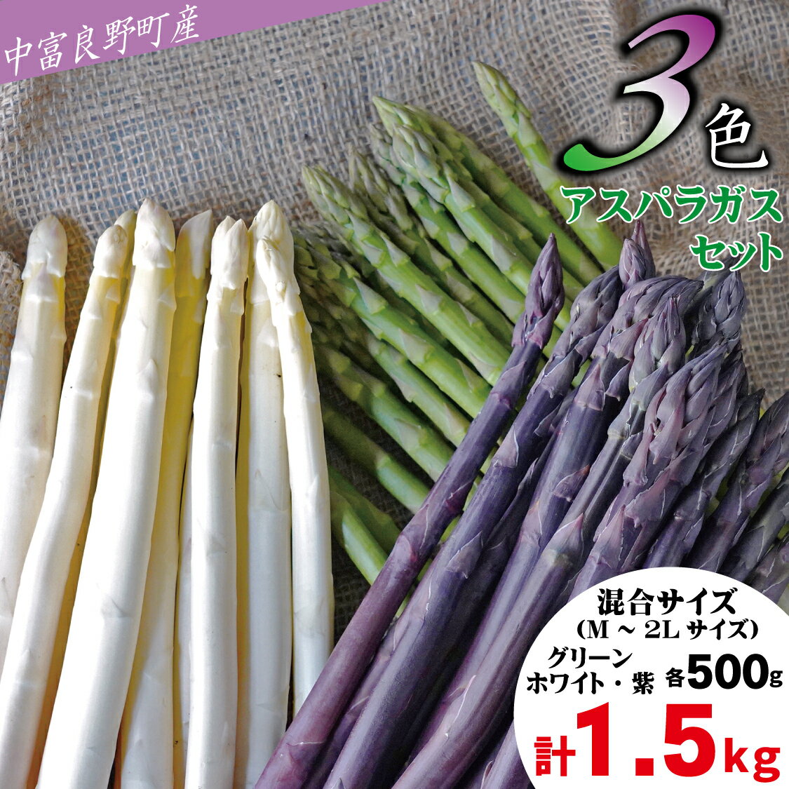 【2026年発送】【中富良野町寺坂農園】3色アスパラガスセット（1.5kg）