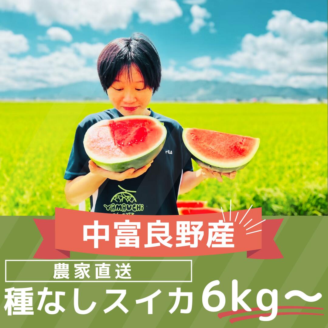 【2026年発送】種なしスイカ　1玉　（6kg～）