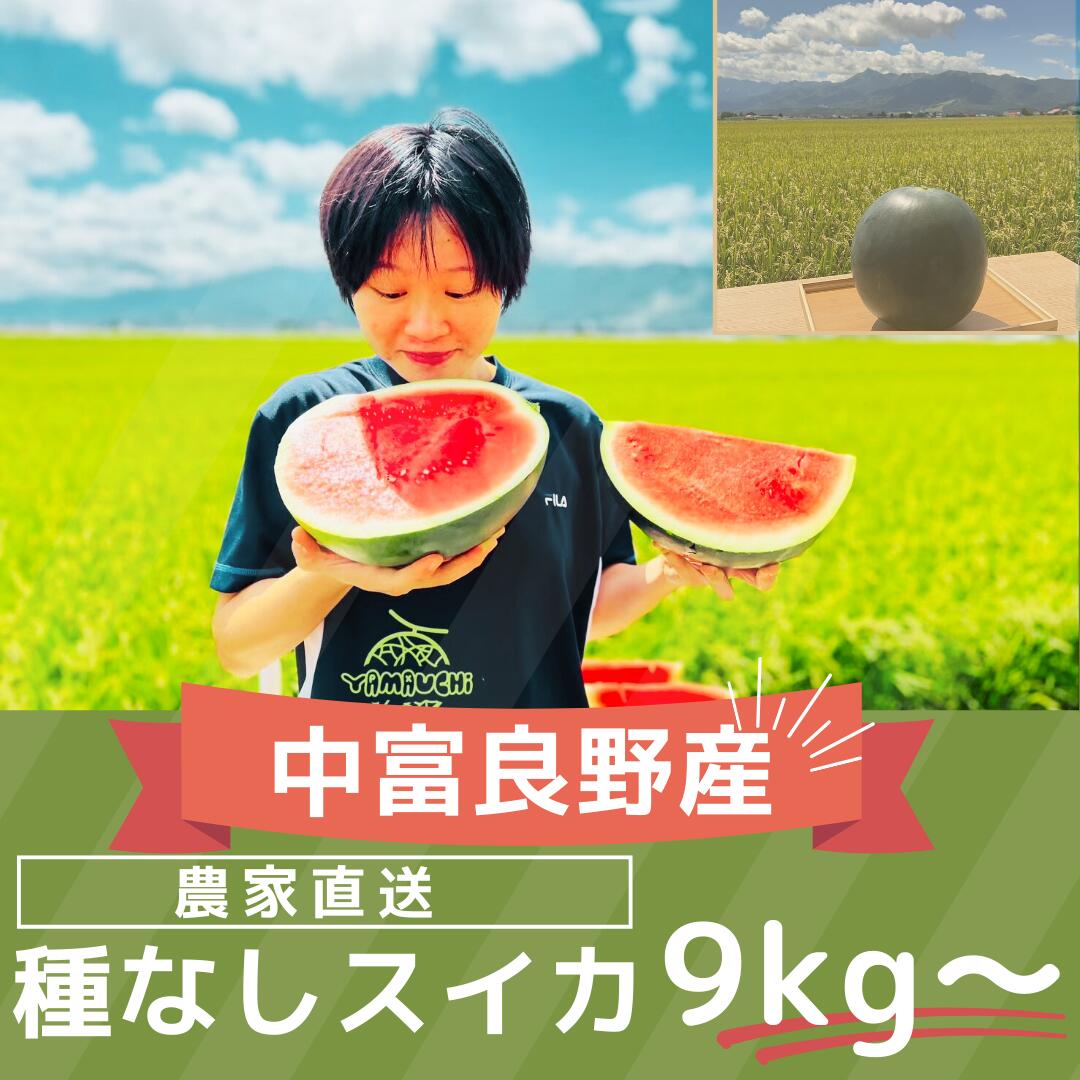【2026年発送】種なしスイカ　1玉　（9kg～）