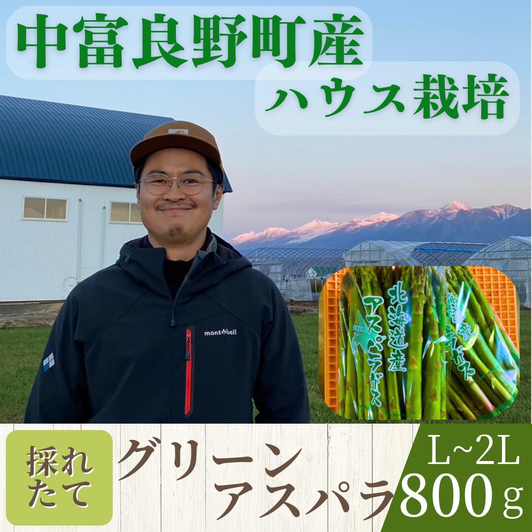 【2026年発送】中富良野町産グリーンアスパラ800g （L～2Lサイズ混合）
