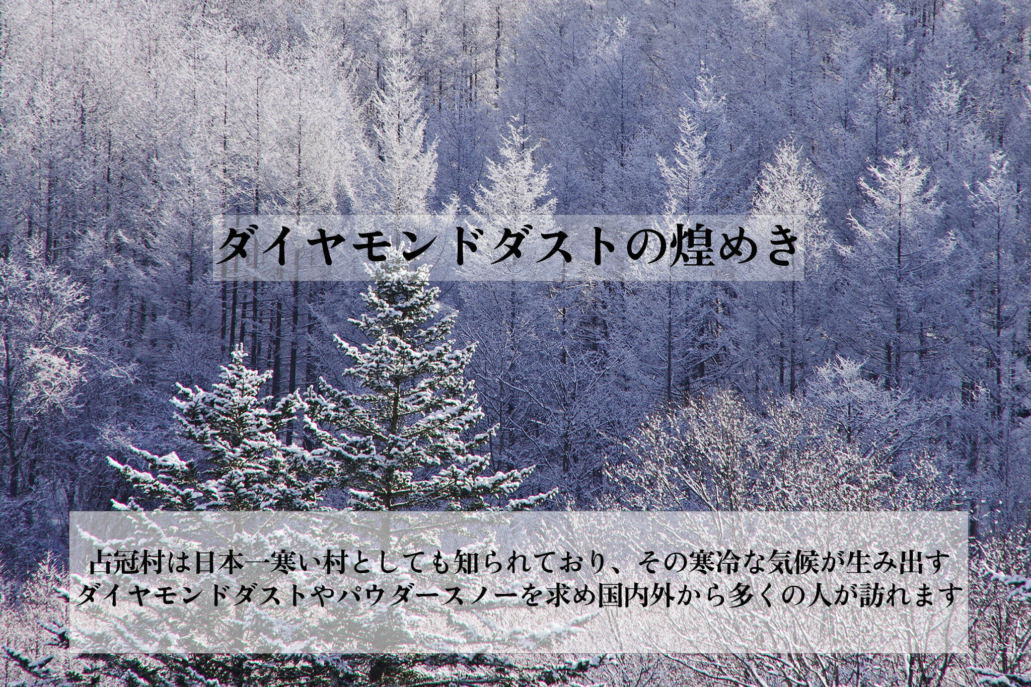 【ふるさと納税】北海道占冠村・トマムの対象施設で使える楽天トラベルクーポン 寄付額 10,000円 サムネイル3