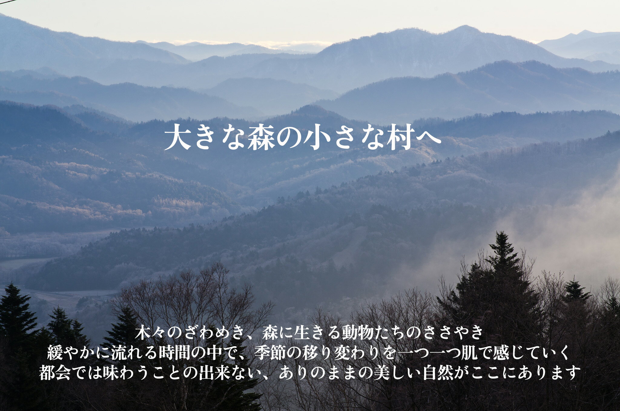 【ふるさと納税】北海道占冠村・トマムの対象施設で使える楽天トラベルクーポン 寄付額 10,000円 サムネイル2