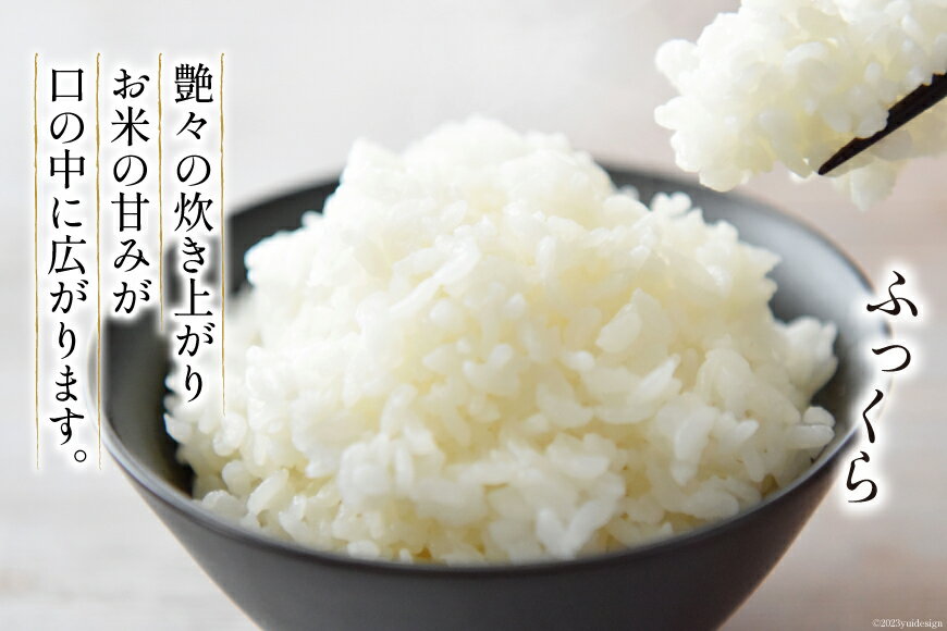 【ふるさと納税】 【北海道米の最高峰】 令和7年 米 ゆめぴりか 5合(750g)【郵便受けにお届け】[武山農園 北海道 剣淵町 14656342] 白米 精米 ご飯 ごはん コメ こめ 国産 - 画像3