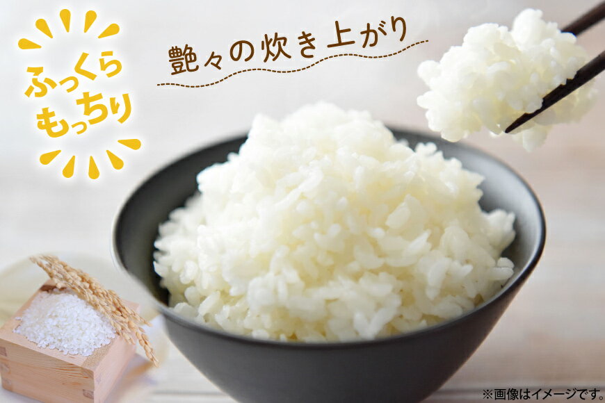 【ふるさと納税】 令和7年 米 ゆめぴりか 5kg [武山農園 北海道 剣淵町 14656339] お米 白米 精米 ご飯 ごはん コメ こめ 国産 - 画像2