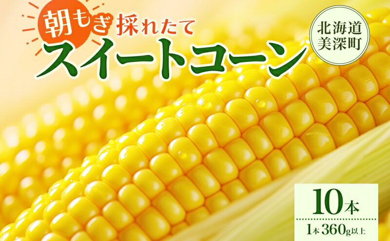 【ふるさと納税】とうもろこし 10本 スイートコーン トウモロコシ コーン 甘い 採れたて 朝採り 野菜 旬の野菜 農作物 お取り寄せ 北海道産 産地直送 北海道 美深町 お届け：2026年8月3日～2026年8月28日 - 画像2