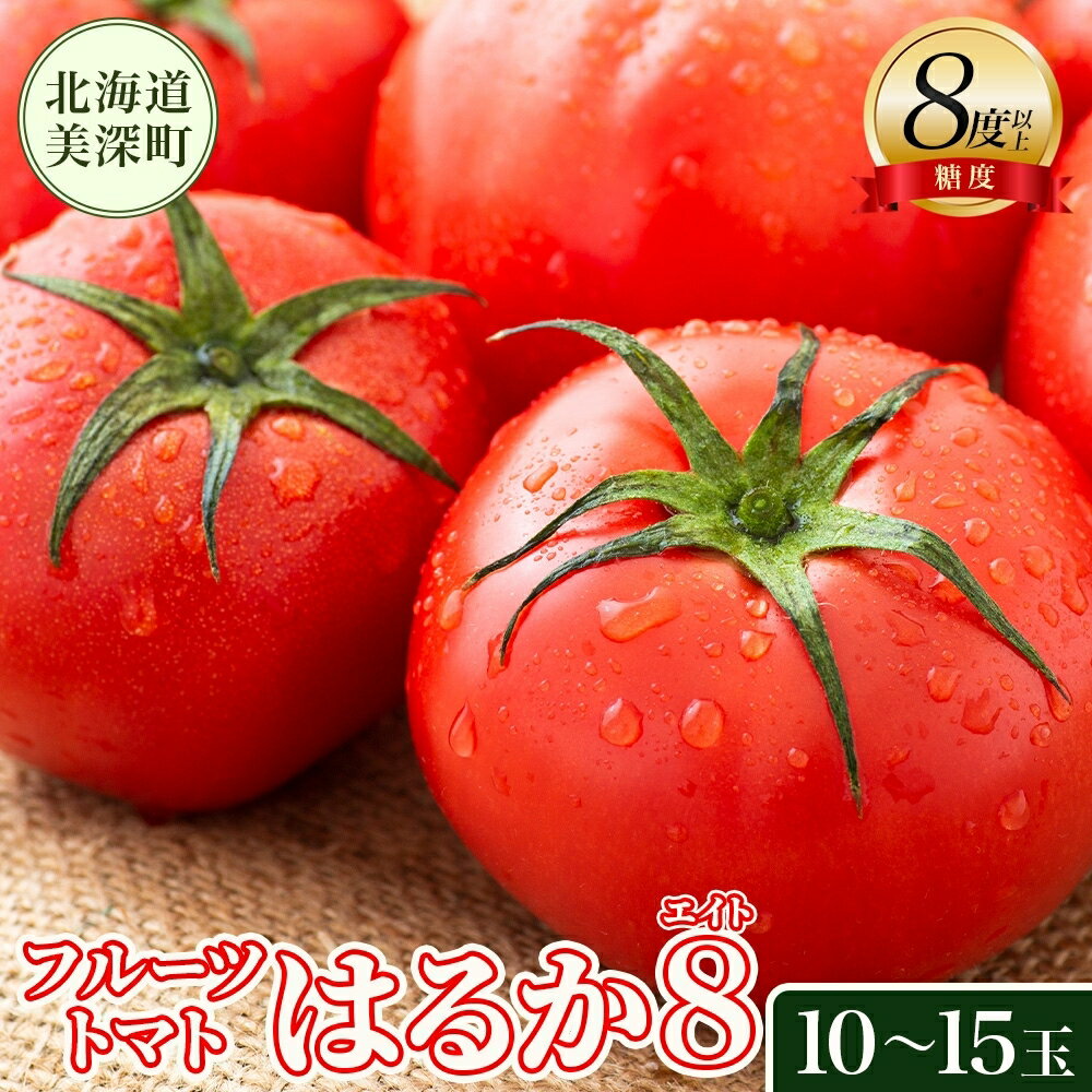 【2026年発送】 糖度8度以上 フルーツトマト はるか8（エイト） 10～15玉 トマト 野菜 夏 野菜 旬 甘い 濃厚 果物 フルーツ 高糖度 新鮮 産地直送 北海道 美深町　お届け：2026年7月上旬～2026年10月上旬まで