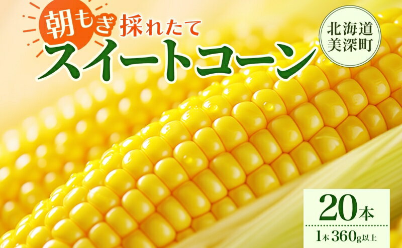 【ふるさと納税】とうもろこし 20本 スイートコーン トウモロコシ コーン 甘い 採れたて 朝採り 野菜 旬の野菜 農作物 お取り寄せ 北海道産 産地直送 北海道 美深町 お届け：2026年8月3日～2026年8月28日 - 画像2