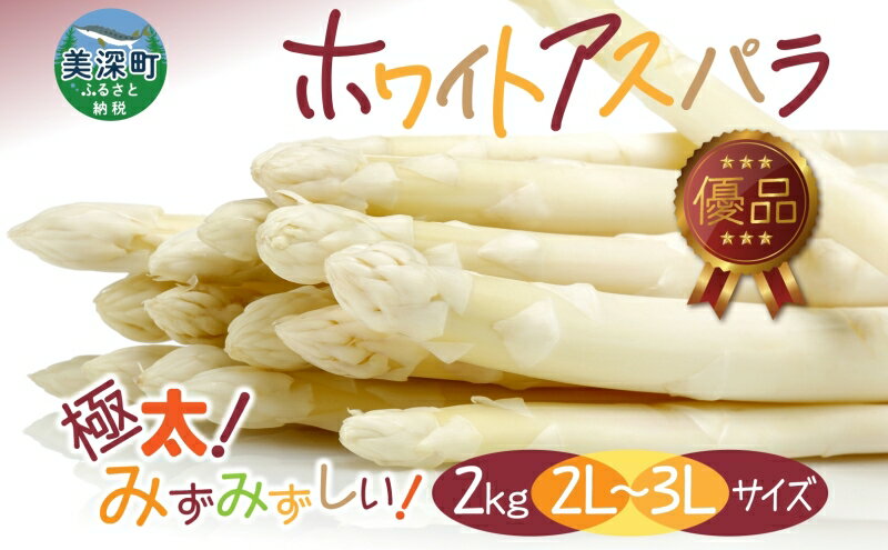 【ふるさと納税】2026年発送 ホワイトアスパラ 2kg(2L～3L ）【優品】 白旬 新鮮 野菜 朝採れ アスパラ アスパラガス ギフト 産地直送 お取り寄せ フレッシュ 甘い 春 春野菜 旬の味覚 季節 送料無料 北海道産 美深町　お届け：2026年4月中旬～2026年6月上旬 - 画像2