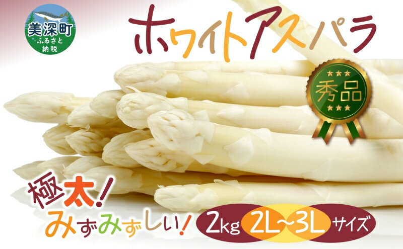 【ふるさと納税】2026年発送 ホワイトアスパラ 2kg(2L～3L ）【秀品】 白旬 新鮮 野菜 朝採れ アスパラ アスパラガス ギフト 産地直送 お取り寄せ フレッシュ 甘い 春 春野菜 旬の味覚 季節 送料無料 北海道産 美深町　お届け：2026年4月中旬～2026年6月上旬 - 画像2