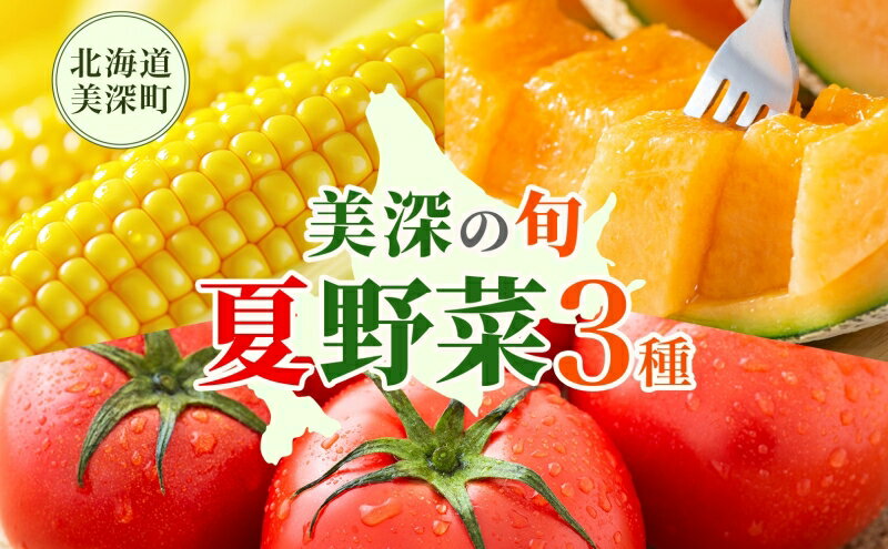 【ふるさと納税】【2026年発送】 美深の旬の夏野菜3種 （フルーツトマト・メロン・とうもろこし） 夏 野菜 旬 甘い 濃厚 果物 フルーツ 高糖度 新鮮 朝採れ もぎたて 産地直送 北海道 美深町　お届け：2026年7月より出荷開始 - 画像2