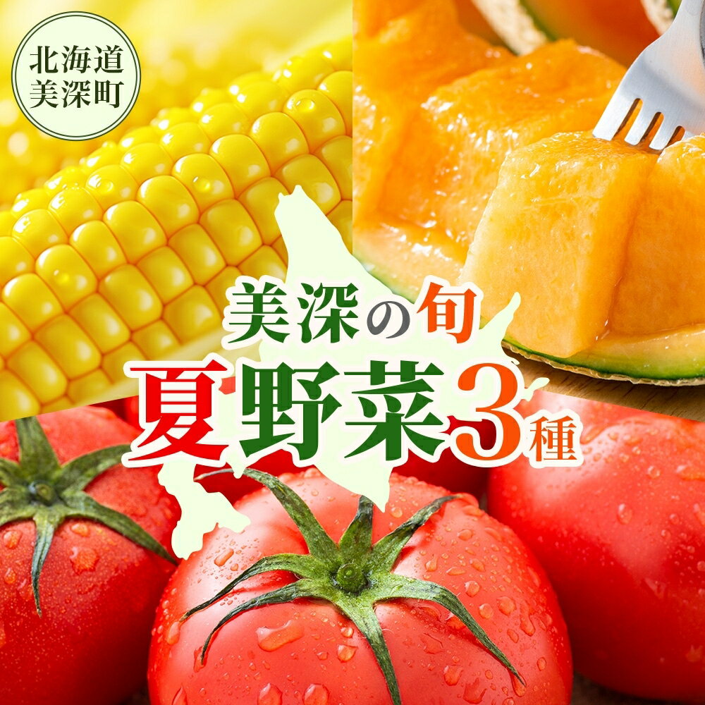 【2026年発送】 美深の旬の夏野菜3種 （フルーツトマト・メロン・とうもろこし） 夏 野菜 旬 甘い 濃厚 果物 フルーツ 高糖度 新鮮 朝採れ もぎたて 産地直送 北海道 美深町　お届け：2026年7月より出荷開始