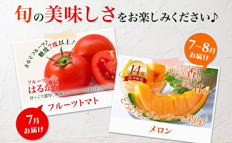 【ふるさと納税】【2026年発送】 美深の旬の夏野菜3種 （フルーツトマト・メロン・とうもろこし） 夏 野菜 旬 甘い 濃厚 果物 フルーツ 高糖度 新鮮 朝採れ もぎたて 産地直送 北海道 美深町　お届け：2026年7月より出荷開始 - 画像3