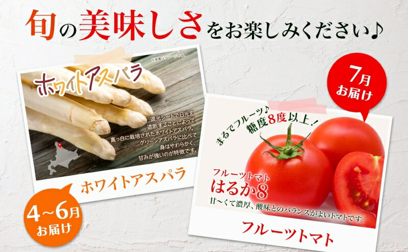 【ふるさと納税】年3回定期便 2026年発送 美深の旬の野菜セット ホワイトアスパラ フルーツトマト トマト カボチャ かぼちゃ くりゆたか 秀品 産地直送 野菜 旬 食材 アレンジ 旬の野菜 みずみずしい フレッシュ お取り寄せ 北海道 美深町　お届け：2026年4月出荷開始 - 画像3