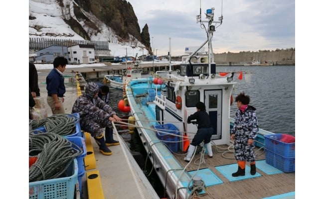 【ふるさと納税】7-010-013　漁師の力酒飲み比べセット（旨口編）　日本酒・お酒　お届け：入金確認後、1週間～1ヶ月以内 サムネイル3