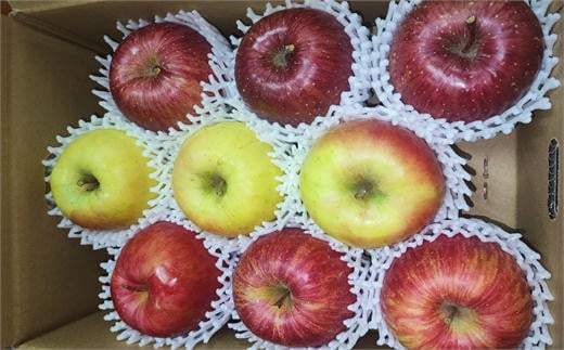 【ふるさと納税】7-010-020　秋香園 大玉りんご 3kg【10月～2月発送】　果物類・林檎・りんご・リンゴ　お届け：10月～ サムネイル2