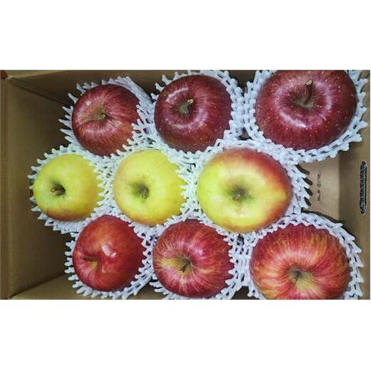 7-010-020　秋香園 大玉りんご 3kg【10月～2月発送】　果物類・林檎・りんご・リンゴ　お届け：10月～