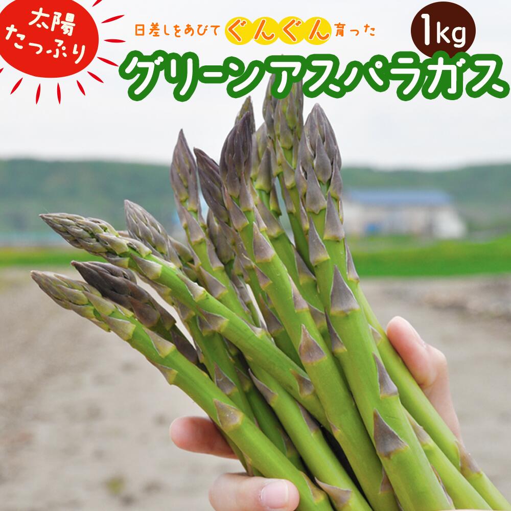 【令和8年産先行受付】上田ファームのグリーンアスパラガス《数量限定》