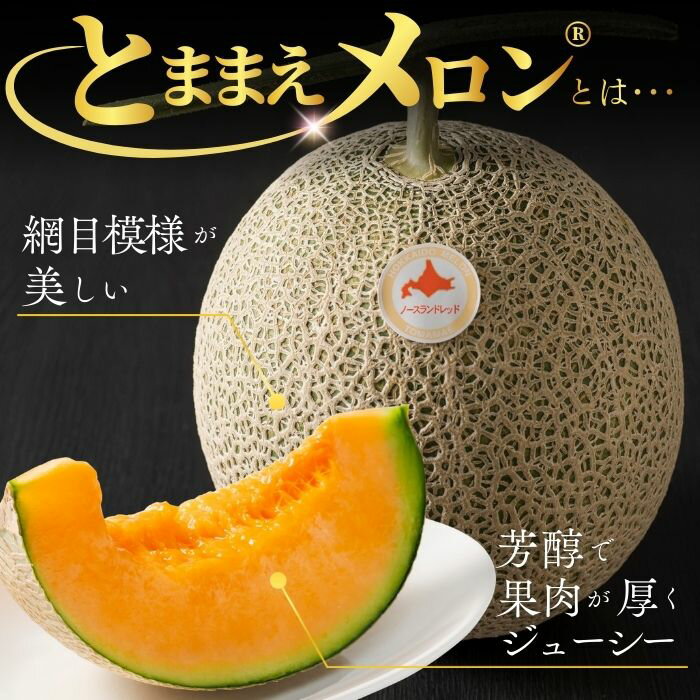 【2026年7月中旬から発送】とままえメロン 1.6kg前後 大玉サイズ 1玉 2玉 容量が選べる 北海道産 先行 予約 受付 赤肉 甘い 糖度14度 旬 産地直送 めろん フルーツ 果物 デザート 北海道 苫前町 とままえ - 画像2