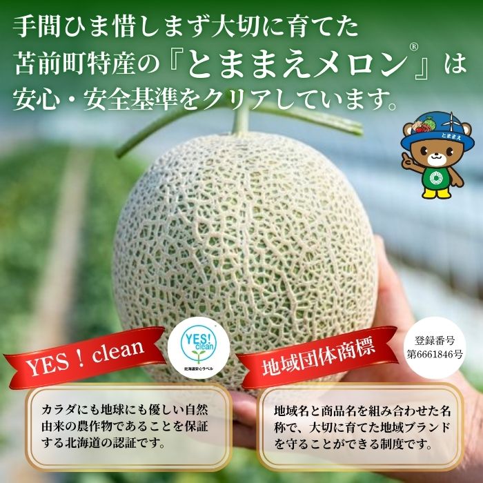 【2026年7月中旬から発送】とままえメロン 1.6kg前後 大玉サイズ 1玉 2玉 容量が選べる 北海道産 先行 予約 受付 赤肉 甘い 糖度14度 旬 産地直送 めろん フルーツ 果物 デザート 北海道 苫前町 とままえ - 画像3