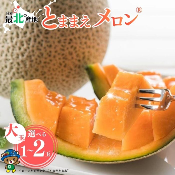 【2026年7月中旬から発送】とままえメロン 1.6kg前後 大玉サイズ 1玉 2玉 容量が選べる 北海道産 先行 予約 受付 赤肉 甘い 糖度14度 旬 産地直送 めろん フルーツ 果物 デザート 北海道 苫前町 とままえ