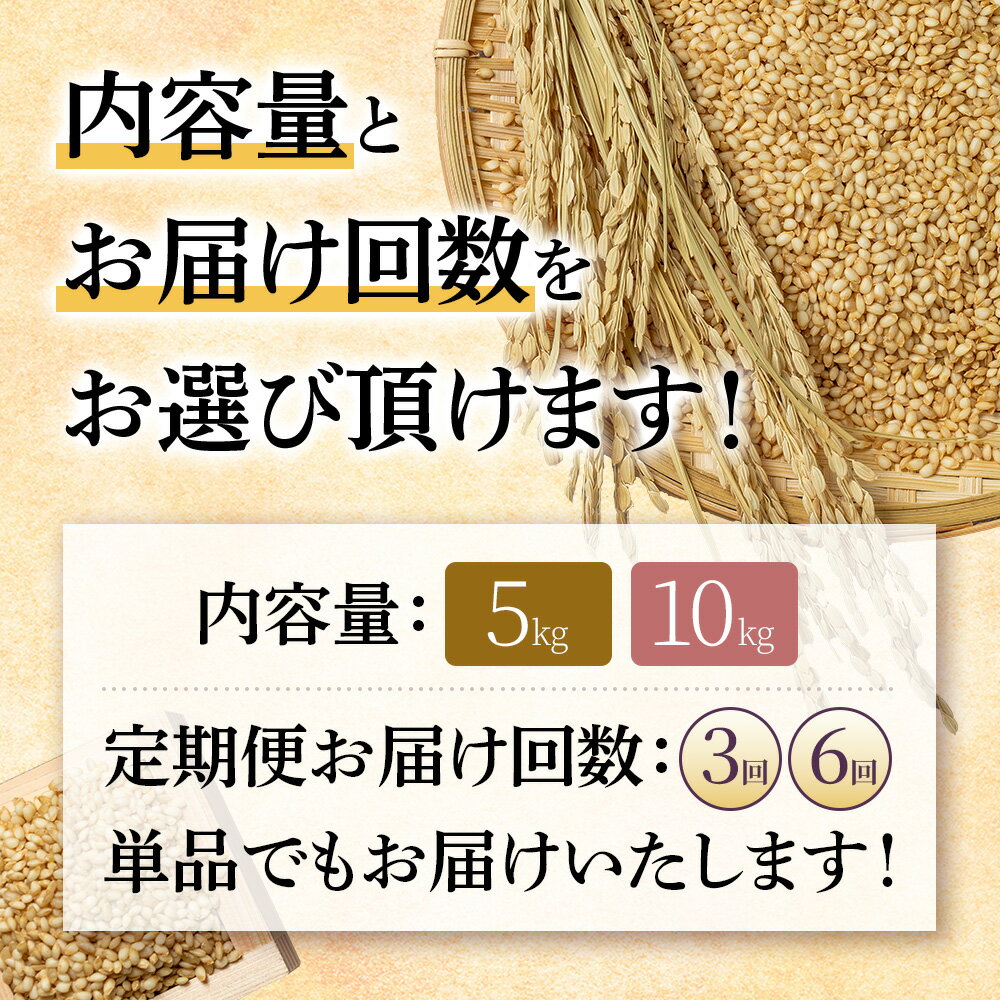【ふるさと納税】選べる内容量&定期便！ 北海道産ゆめぴりか 玄米《5kg or 10kg ・ 単品〜定期便6回》 （無化学肥料、除草剤一回だけで栽培した体に優しいお米） | 玄米 米 ごはん ゆめぴりか 健康 お弁当用 国産 安心 安全 お取り寄せ ふるさと納税 北海道 羽幌町 - 画像3