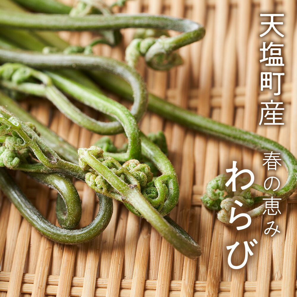 【ふるさと納税】2026年分予約開始★北海道産わらび 200g×6パック《おのっぷ農園》 ふるさと納税 北海道 - 画像2