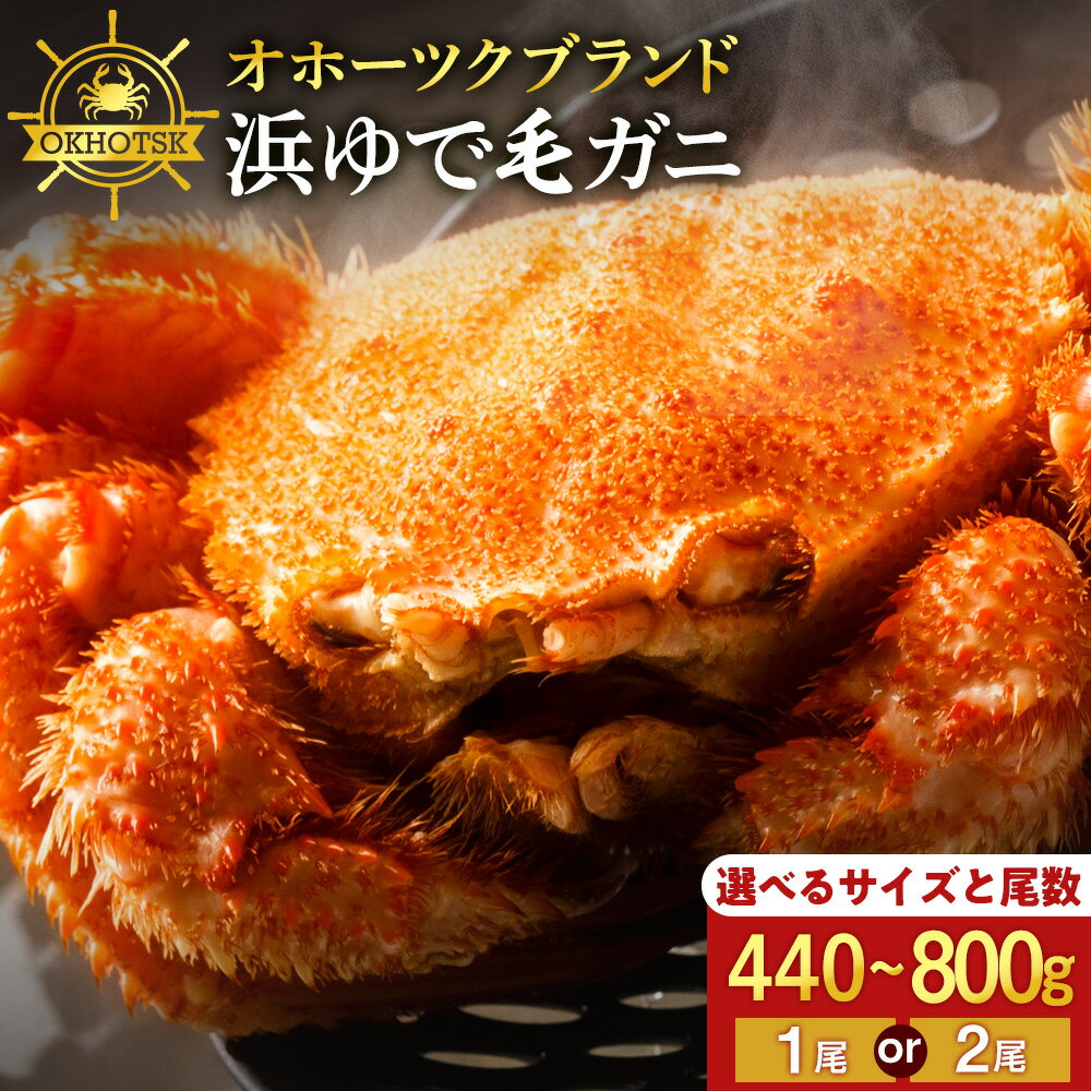 ☆選べる発送時期☆順次発送　2月〜3月発送【楽天限定】 ☆北海道産 毛ガニ 選べる約440g〜800g 1尾・2尾セット 計440g〜1.6kg かに カニ 蟹 毛蟹 冷凍 北海道産 浜頓別町北海道ふるさと納税 ふるさと納税 北海道 浜頓別《お年玉企画》