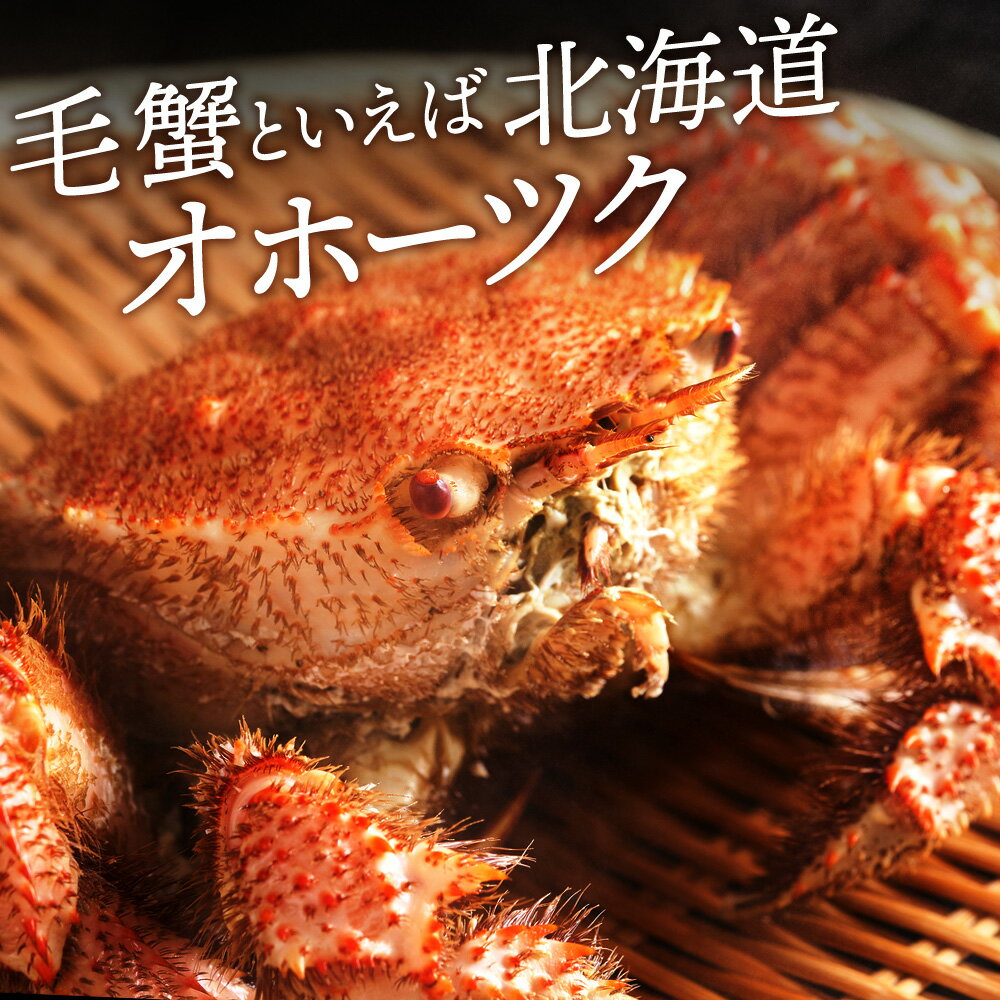 【ふるさと納税】☆12月発送＊先行予約☆選べる発送時期【楽天限定】 ☆北海道産 毛ガニ 選べる約440g～800g 2尾セット 計880g～1.6kg かに カニ 蟹 毛蟹 冷凍 北海道産 浜頓別町北海道ふるさと納税 ふるさと納税 北海道 浜頓別 通販 贈答品 贈り物 サムネイル2