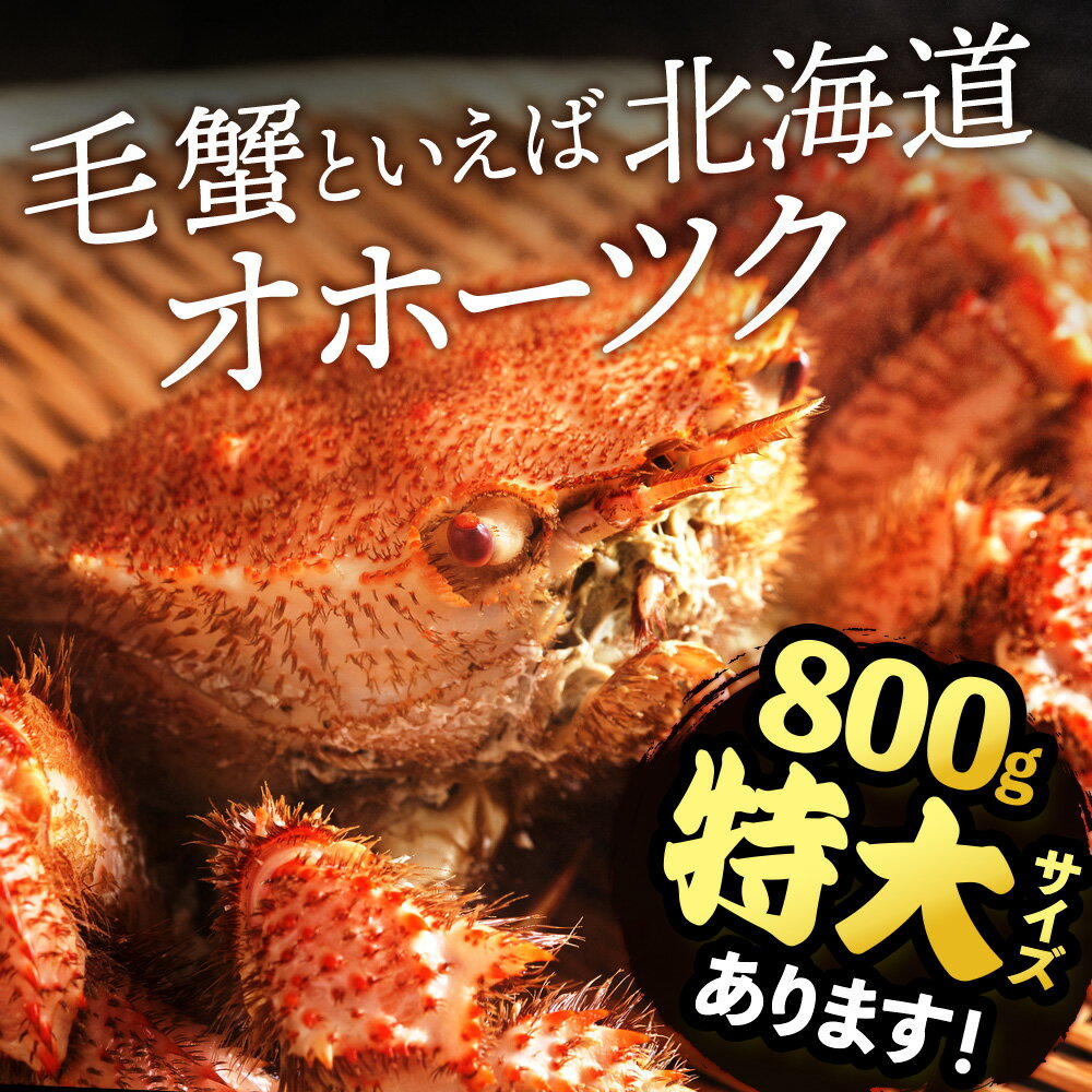 【ふるさと納税】☆選べる発送時期☆順次発送　2月〜3月発送【楽天限定】 ☆北海道産 毛ガニ 選べる約440g〜800g 1尾・2尾セット 計440g〜1.6kg かに カニ 蟹 毛蟹 冷凍 北海道産 浜頓別町北海道ふるさと納税 ふるさと納税 北海道 浜頓別《お年玉企画》 - 画像2