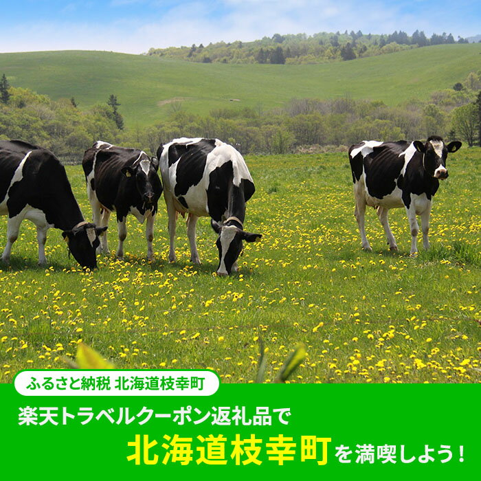 【ふるさと納税】北海道枝幸町の対象施設で使える 楽天トラベルクーポン 寄付額34,000円(クーポン10,000円) 北海道 宿泊 宿泊券 ホテル 旅館 旅行 旅行券 観光 トラベル チケット 旅 宿 券 サムネイル2