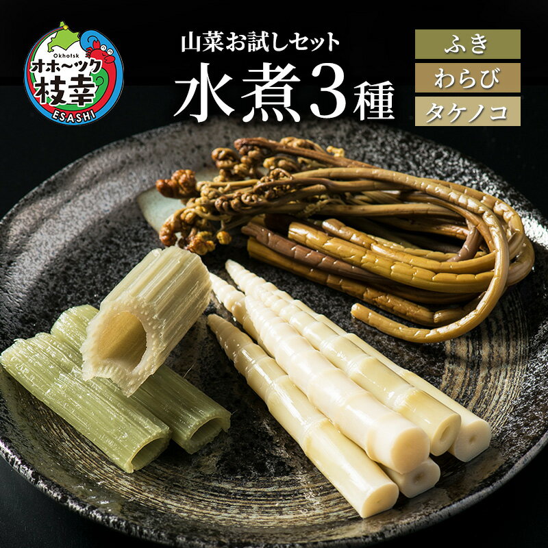 山菜お試しセット 水煮3種（フキ・ワラビ・タケノコ）【オホーツク枝幸】野菜