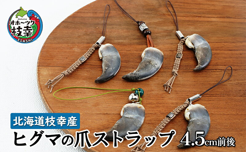 【ふるさと納税】北海道枝幸産 ヒグマの爪ストラップ 4.5cm前後 くま 熊 ヒグマ 羆 アクセ スマホファッション小物 アクセサリー 民芸品 工芸品 伝統技術 サムネイル2