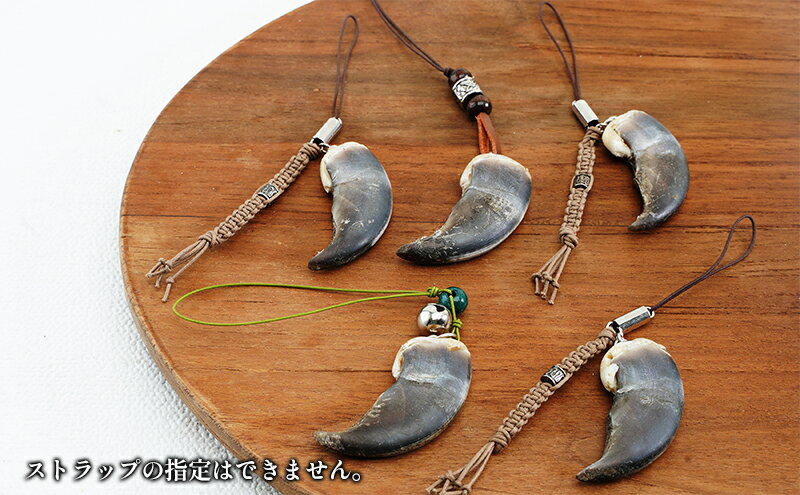 【ふるさと納税】北海道枝幸産 ヒグマの爪ストラップ 4.5cm前後 くま 熊 ヒグマ 羆 アクセ スマホファッション小物 アクセサリー 民芸品 工芸品 伝統技術 サムネイル3