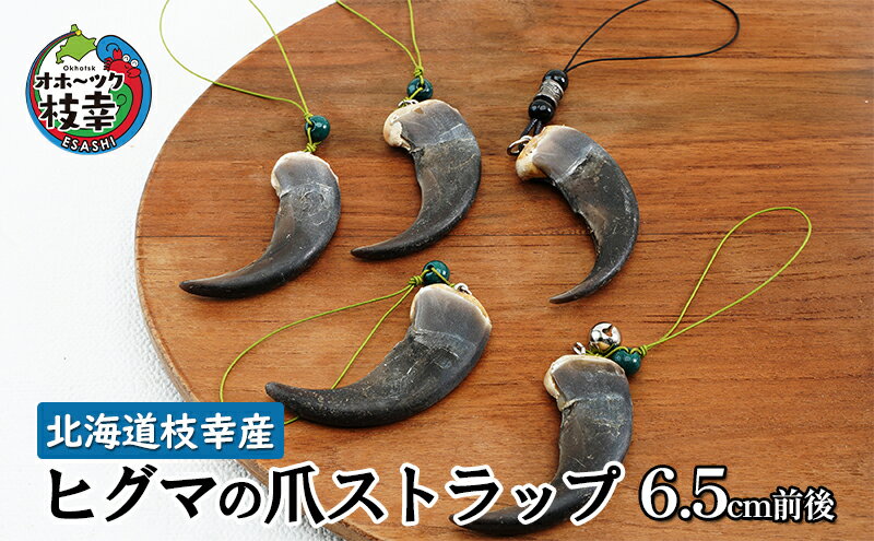 【ふるさと納税】北海道枝幸産 ヒグマの爪ストラップ 6.5cm前後 くま 熊 ヒグマ 羆 アクセ スマホファッション小物 アクセサリー 民芸品 工芸品 伝統技術 サムネイル2