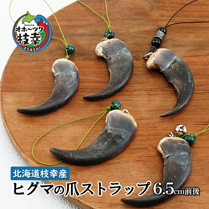 北海道枝幸産 ヒグマの爪ストラップ 6.5cm前後 くま 熊 ヒグマ 羆 アクセ スマホファッション小物 アクセサリー 民芸品 工芸品 伝統技術