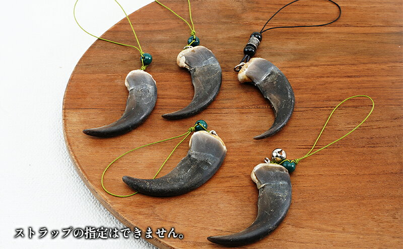 【ふるさと納税】北海道枝幸産 ヒグマの爪ストラップ 6.5cm前後 くま 熊 ヒグマ 羆 アクセ スマホファッション小物 アクセサリー 民芸品 工芸品 伝統技術 サムネイル3