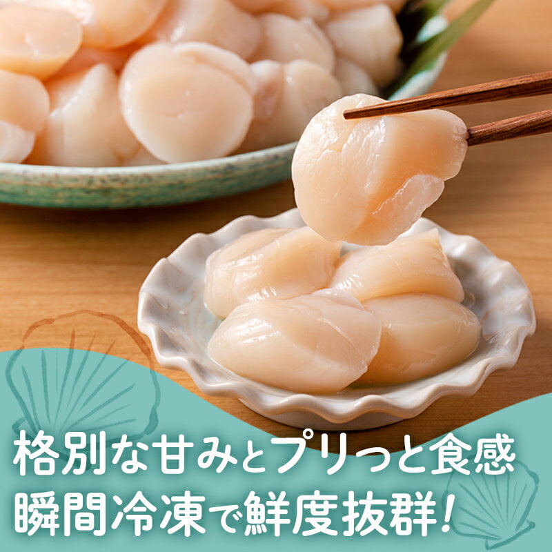 【ふるさと納税】〈選べるグラム数〉小分けで便利！枝幸ほたて冷凍貝柱 400g(200g×2) / 1kg(200g×5) / 2kg(200g×10) 三興水産 【 刺身 魚介 帆立 超目玉 急速冷凍 自然解凍 生食可 食べ切りサイズ 北海道 オホーツク 枝幸 】 サムネイル3