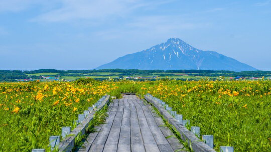 【ふるさと納税】北海道豊富町の対象施設で使える楽天トラベルクーポン 寄付額100,000円 宿泊 旅行 トラベル 温泉 家族旅行 カップル 観光 ホテル 旅館 クーポン 北海道 豊富町 湯治 美肌 宿泊予約 予約 - 画像3