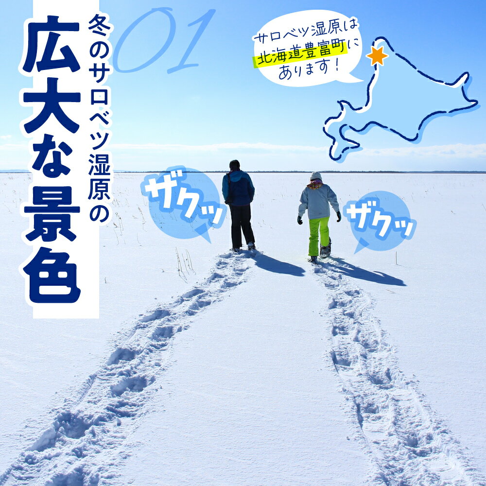【ふるさと納税】 スノーシューガイド 1名様分 (1～3月) | スノーシューレンタル料込 オリジナルカレンダーのお土産付き 北海道 冬 ウィンター 散策 体験 旅行 豊富町 サロベツ サムネイル3