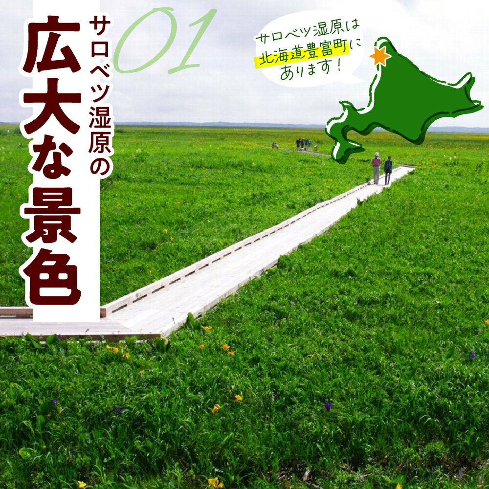 【ふるさと納税】 サロベツ湿原体験 木道自然ガイド 1名様分 (5～9月) | オリジナルカレンダーのお土産付き 北海道 散策 体験 旅行 豊富町 サロベツ - 画像3