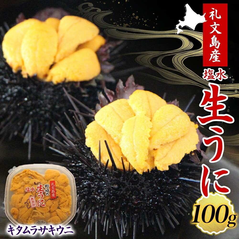 北海道 礼文島産 塩水ウニ （ キタムラサキウニ ）100g×1 生うに うに 雲丹 　お届け：2026年5月上旬～9月中旬まで